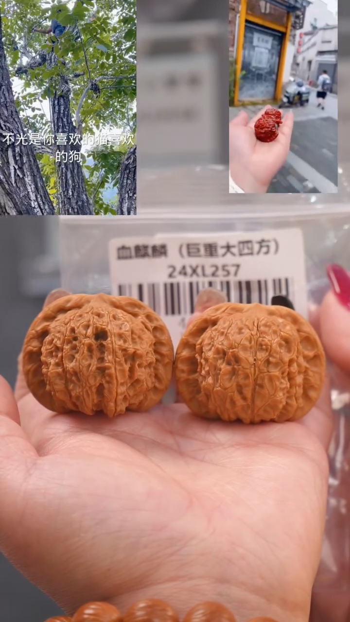 【闪购商品】文玩核桃吊坠43血麒麟狮子头（巨重）