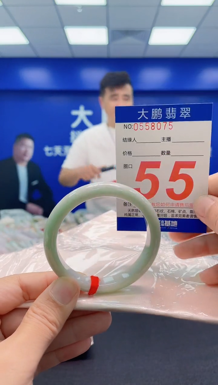 未镶嵌手镯翡翠AAAAAAAAA