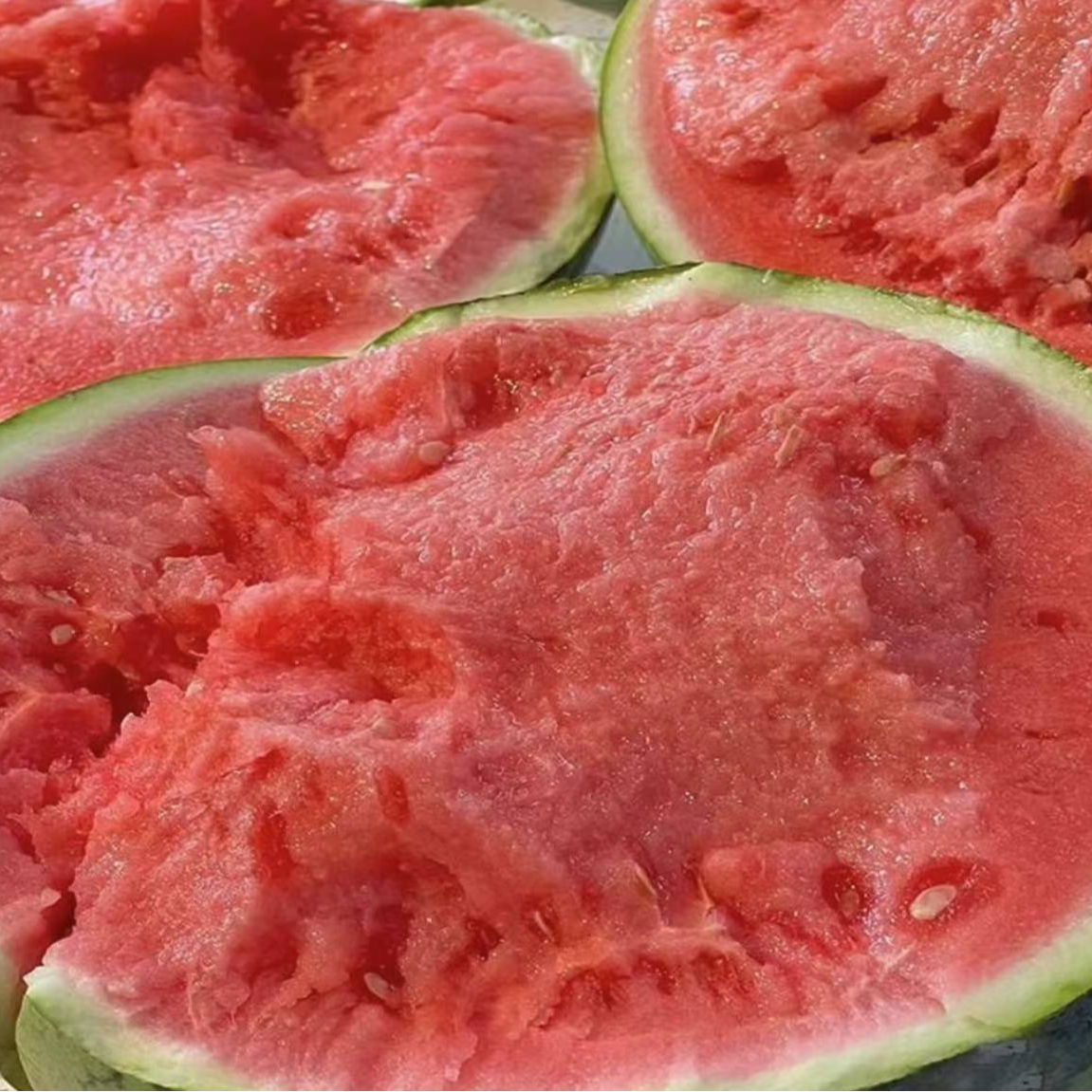 好吃的酥脆甜麒麟一枚6-7斤（净重6-7斤/颗）