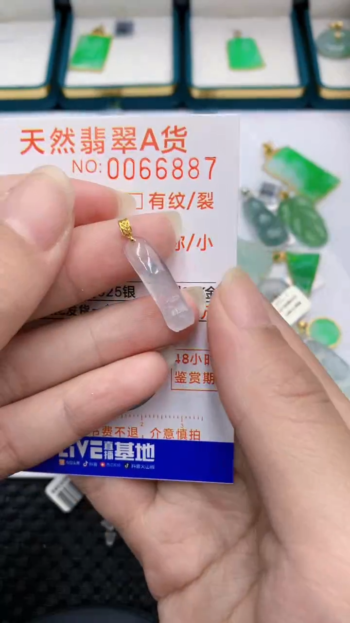 【闪购商品】翡翠颈饰18K金镶嵌            8