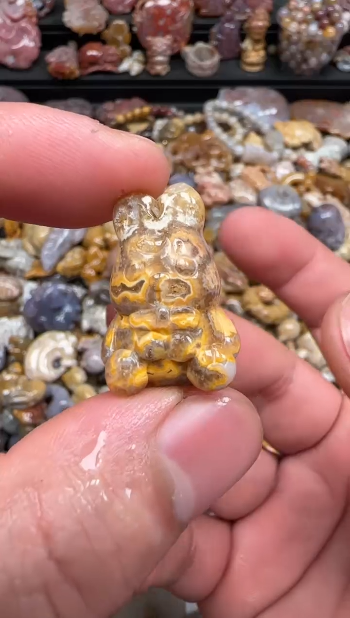 硅化珊瑚（珊瑚玉）未镶嵌颈饰661