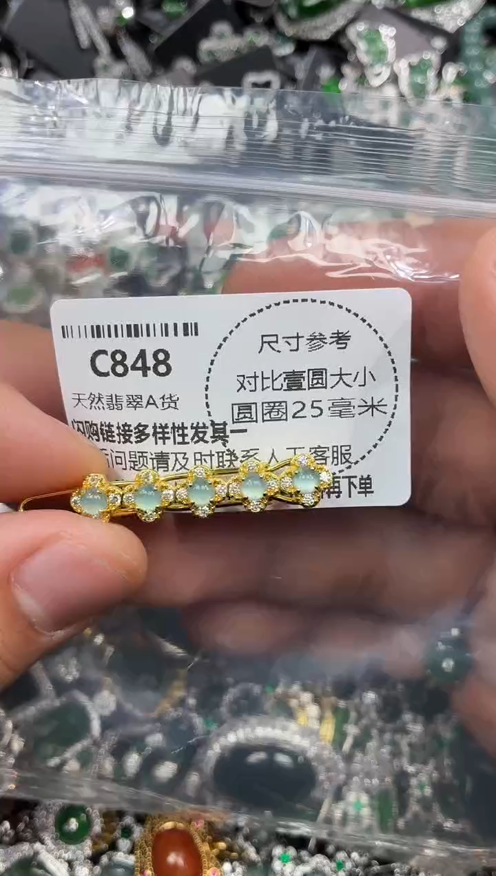 颈饰未镶嵌翡翠C848发夹