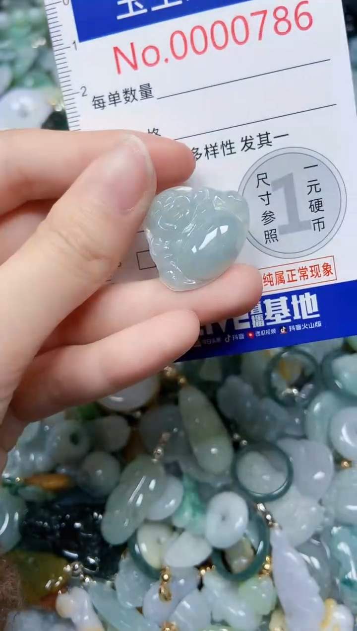 【闪购商品】翡翠颈饰未镶嵌闪购0000786