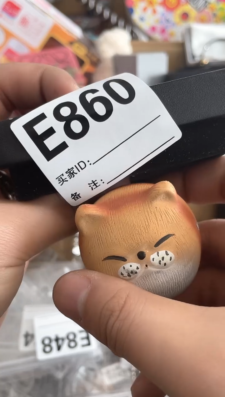 【闪购商品】瓷片E860 ++00000000000
