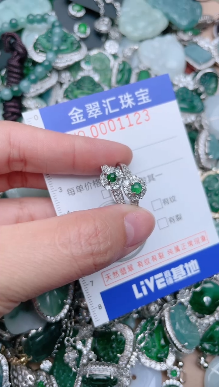 【闪购商品】翡翠颈饰未镶嵌1123............