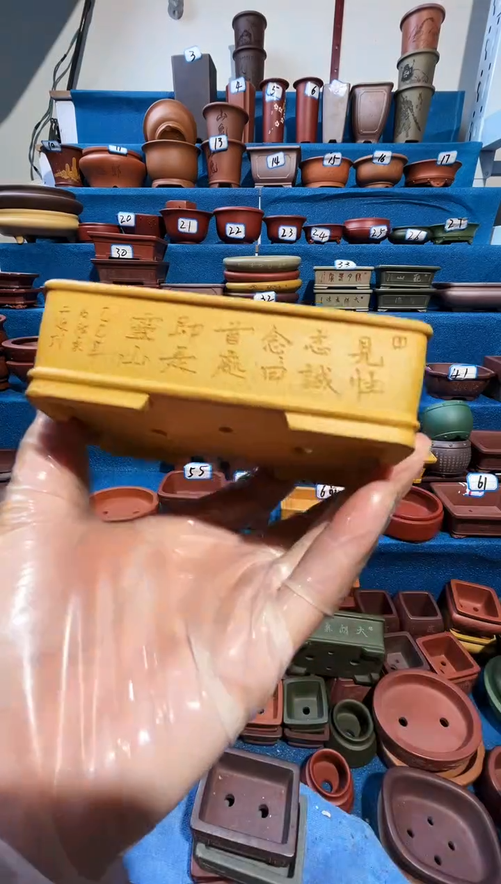 【闪购商品】紫砂紫砂花盆10.5*8.5*2.5