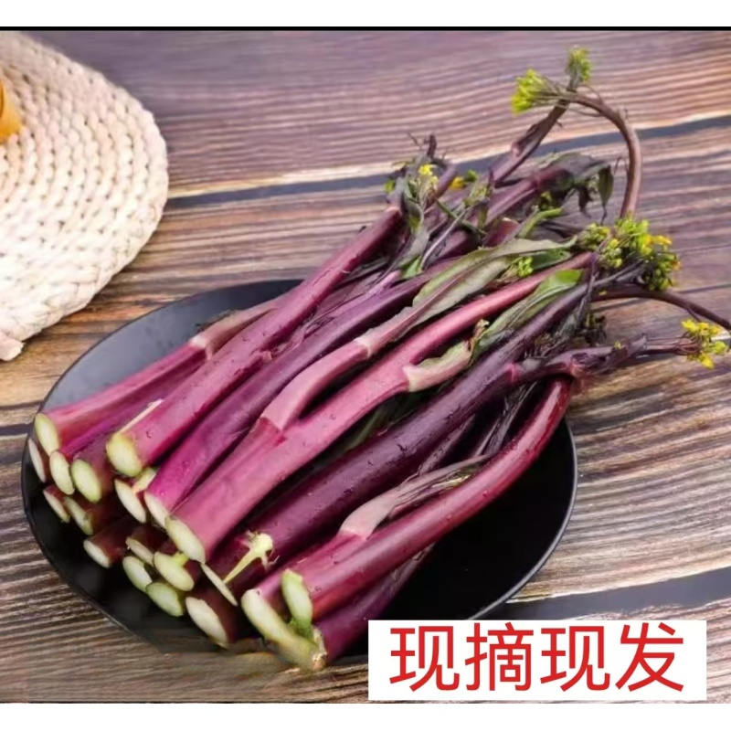 （现摘红菜苔）露天种植现摘新鲜打霜红菜苔农家自种