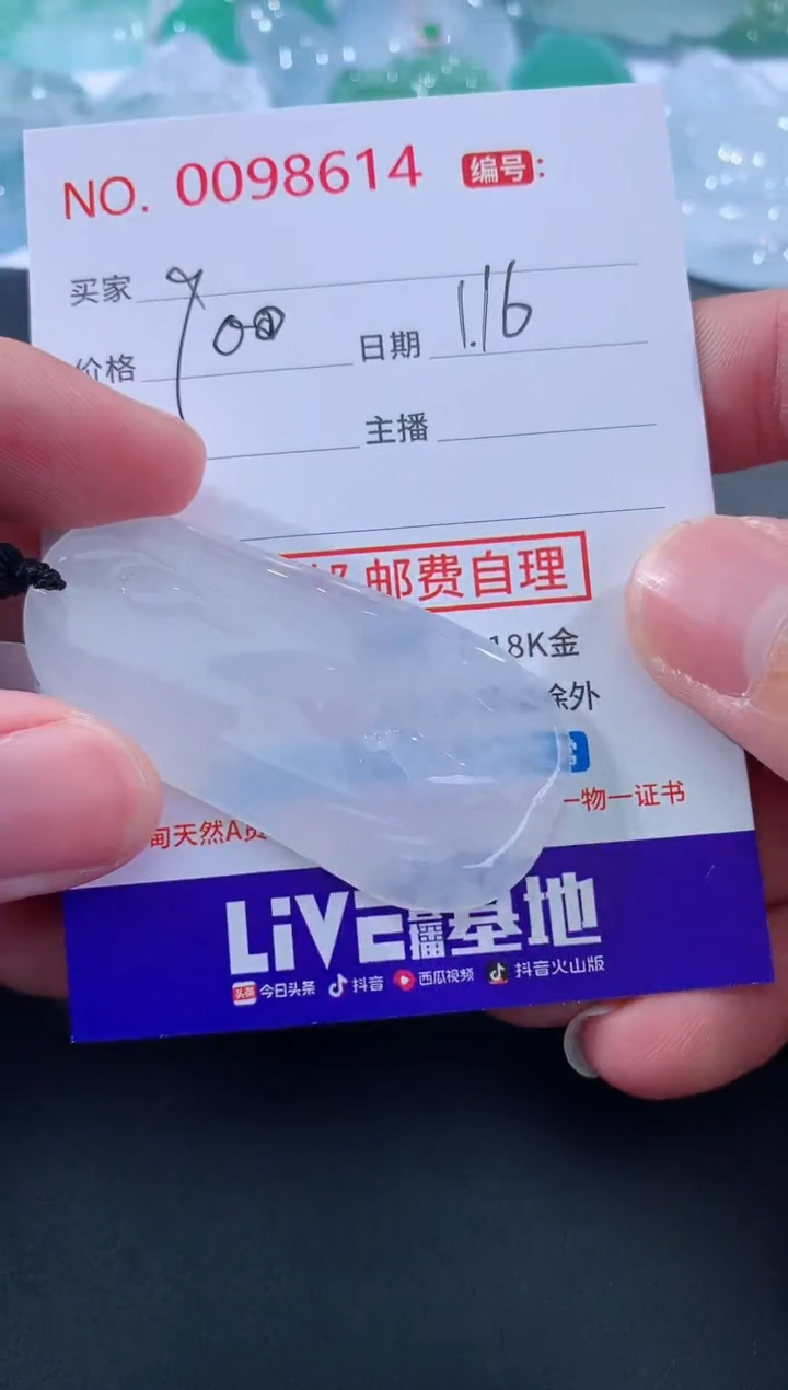 【闪购商品】翡翠颈饰未镶嵌天然缅甸A货翡翠