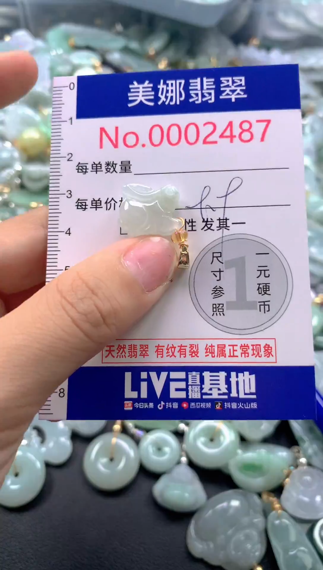 颈饰未镶嵌翡翠2487