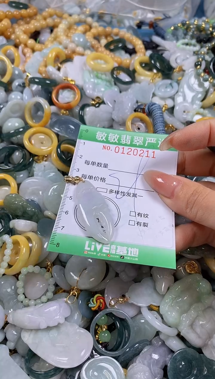 【闪购商品】翡翠颈饰未镶嵌闪购0120211