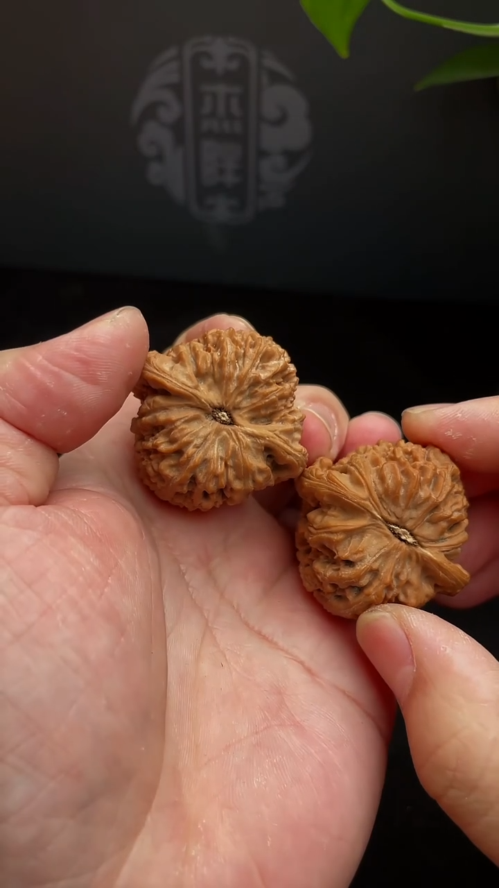 【闪购商品】文玩核桃把件41尺南疆，全品