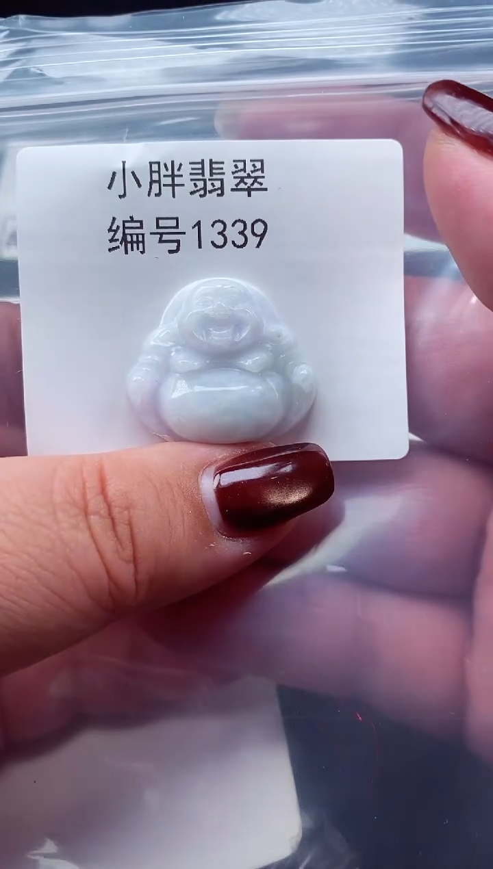 颈饰未镶嵌翡翠缅甸天然A货翡翠1339