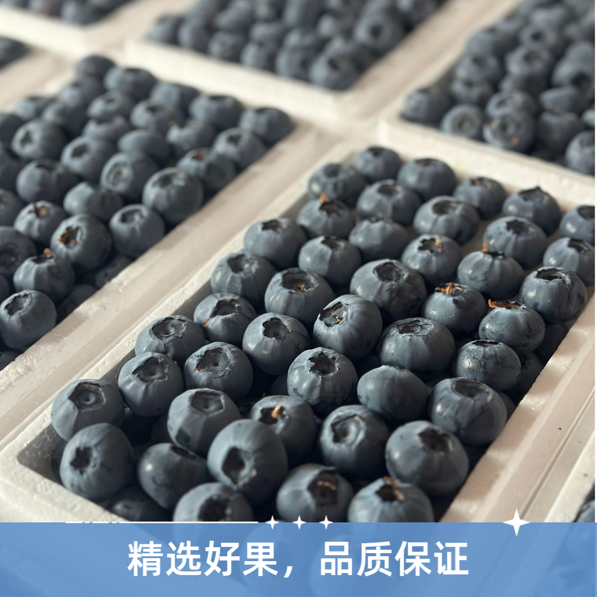 丹东蓝莓【果径18mm+】产地直销（净重400g/箱）大果脆甜可口