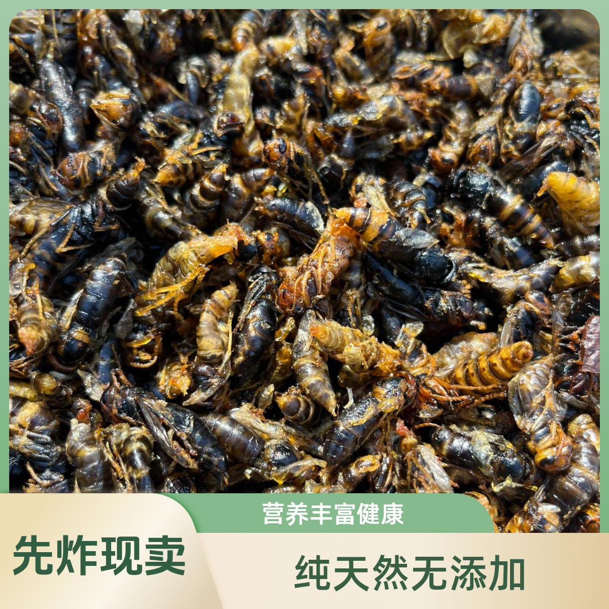4级不会飞的无翅嫩翅树蜂老蜂蜂蛹8+1专款美味香脆下酒神器