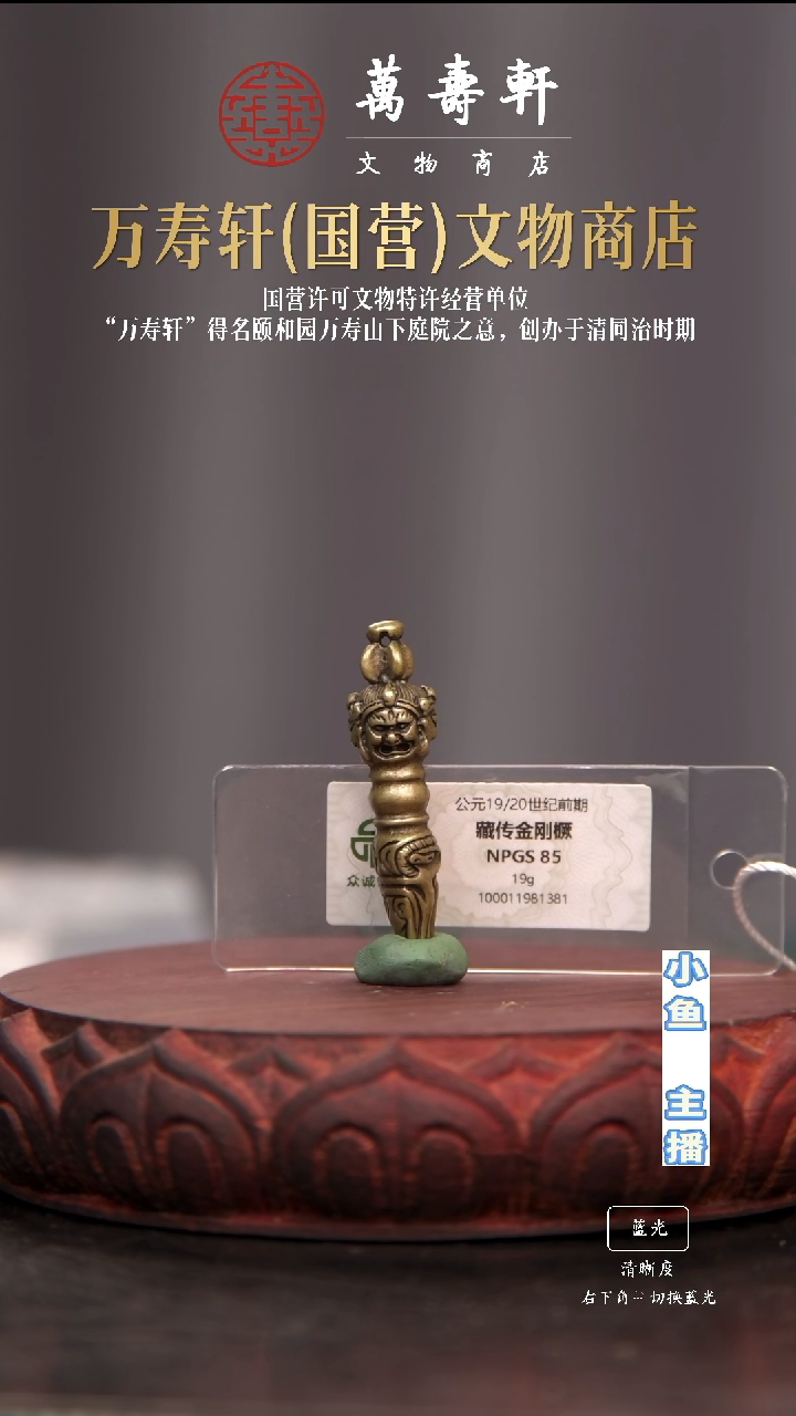 铜驼*金刚橛1111111