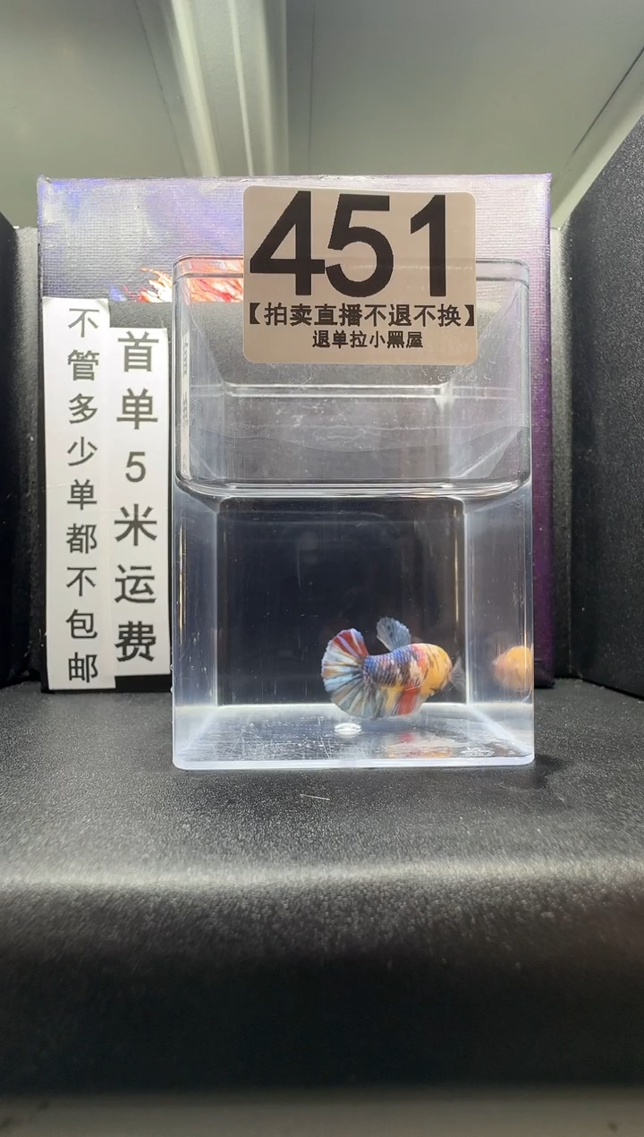 斗鱼母鱼编号：451