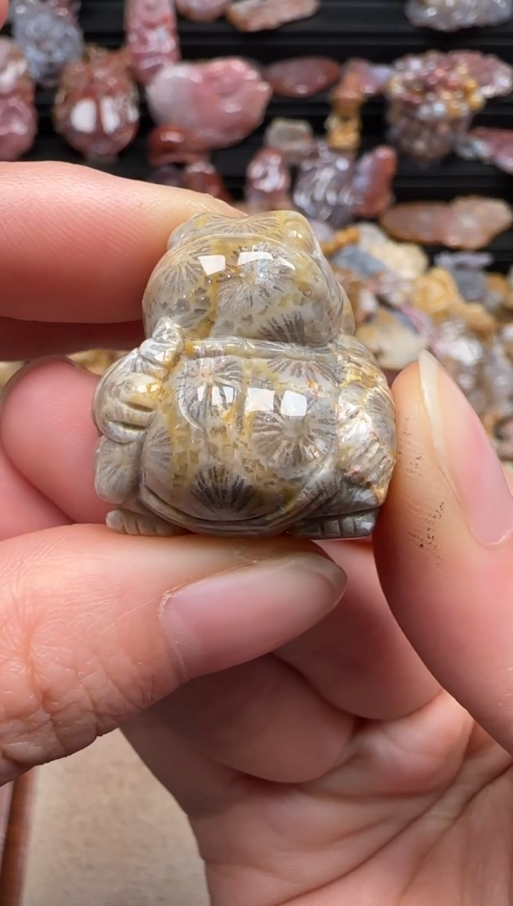 【闪购商品】硅化珊瑚（珊瑚玉）颈饰未镶嵌343