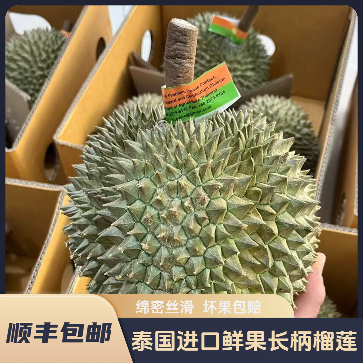 【A果一物一拍❷】泰国长柄鲜榴莲核大慎拍坏果包赔生劈不售后顺丰MG
