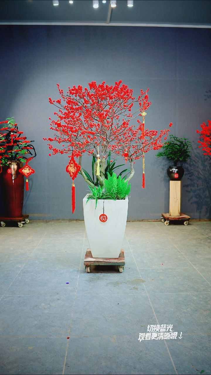 以实际为准笑*一物一拍绿植