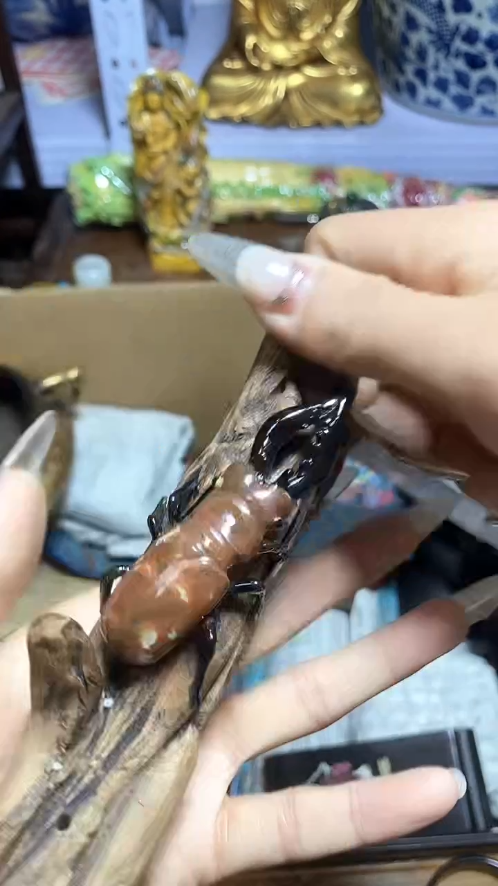 【闪购商品】瓷器瓷片瓷器瓷片