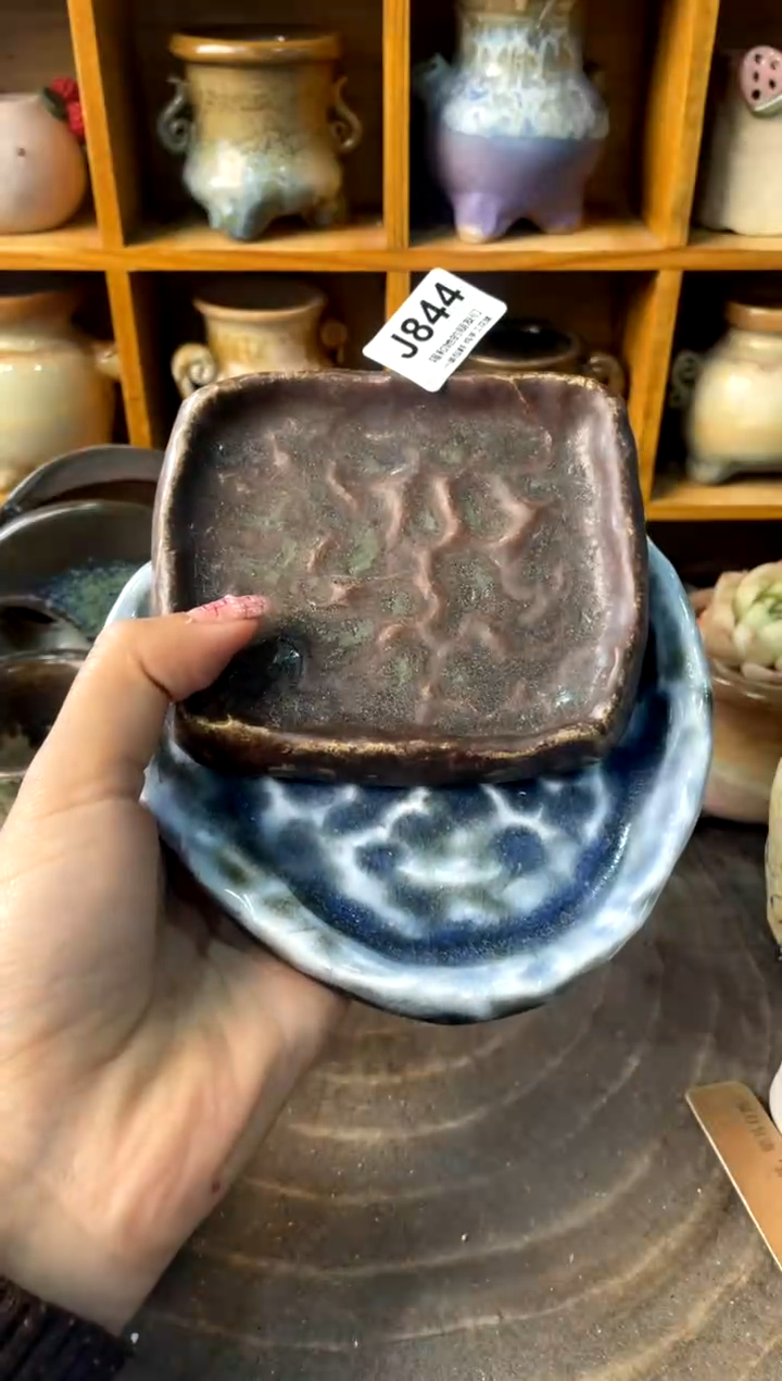 大*子844【多肉花盆多肉盆】