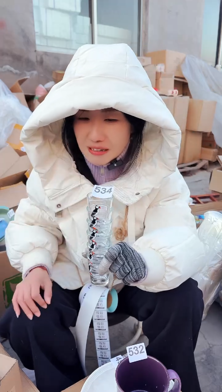 【闪购商品】炻瓷无盖款534