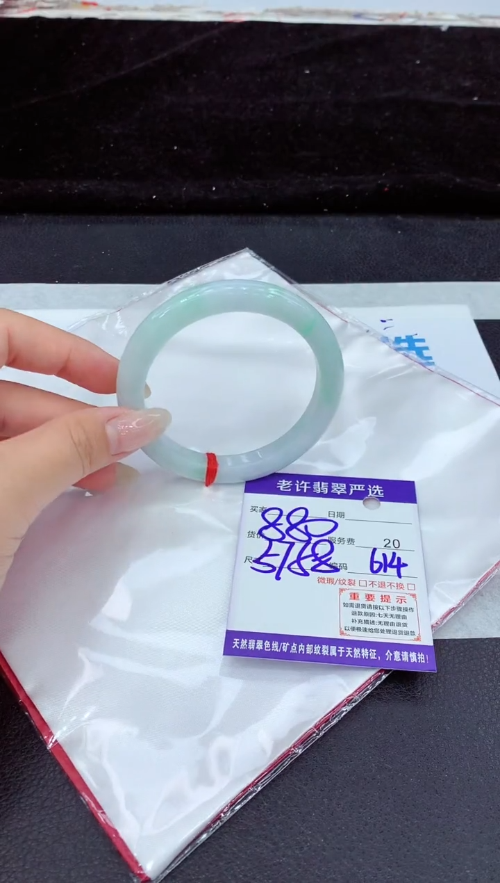 未镶嵌手镯翡翠11