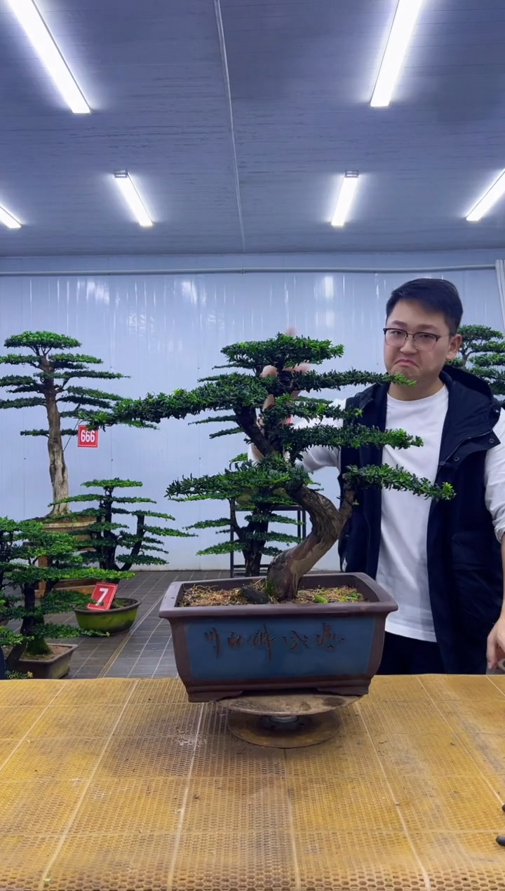 无花朵手****g000000000000000000