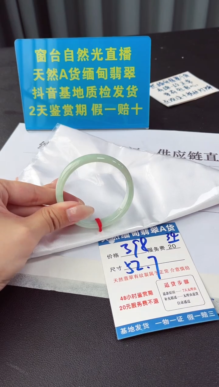 未镶嵌手镯翡翠11111