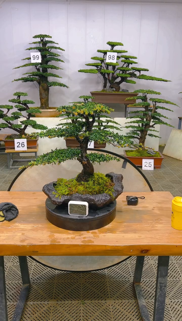 无花朵一物一拍一物一拍