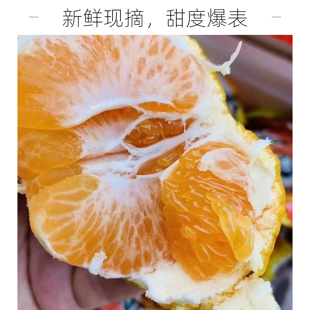 安氏虎头丑橘6.5斤（四川）