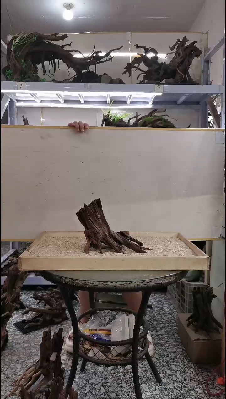 玩鱼缸造景就找晋颜水景