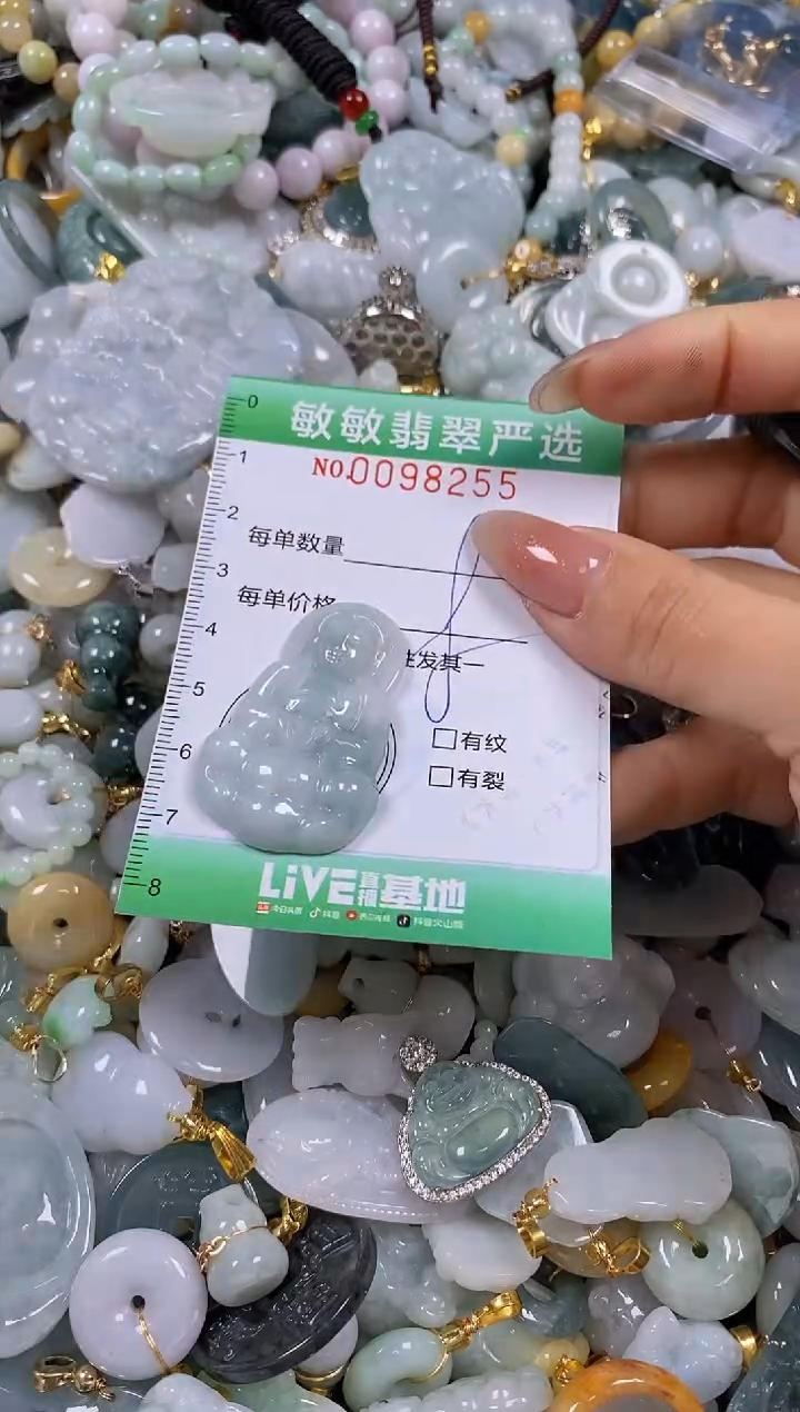 【闪购商品】翡翠颈饰未镶嵌闪购0098255