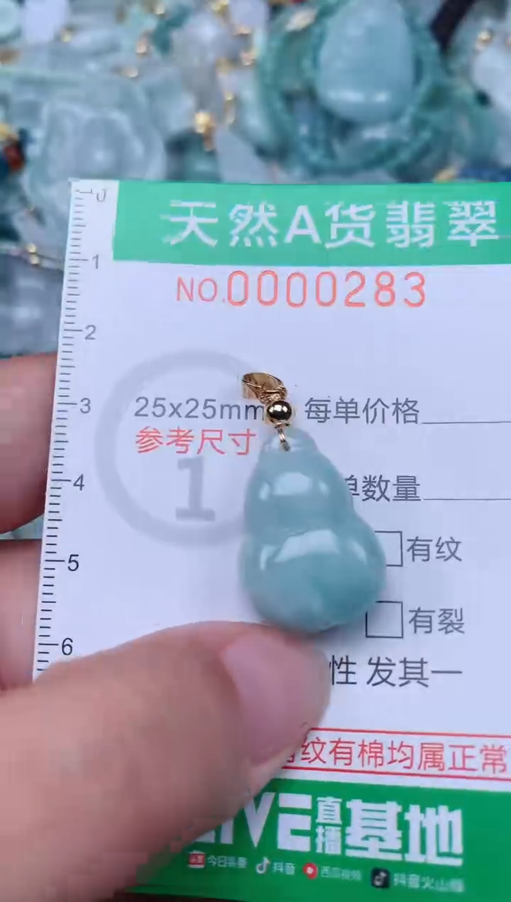 翡翠未镶嵌颈饰.0000283