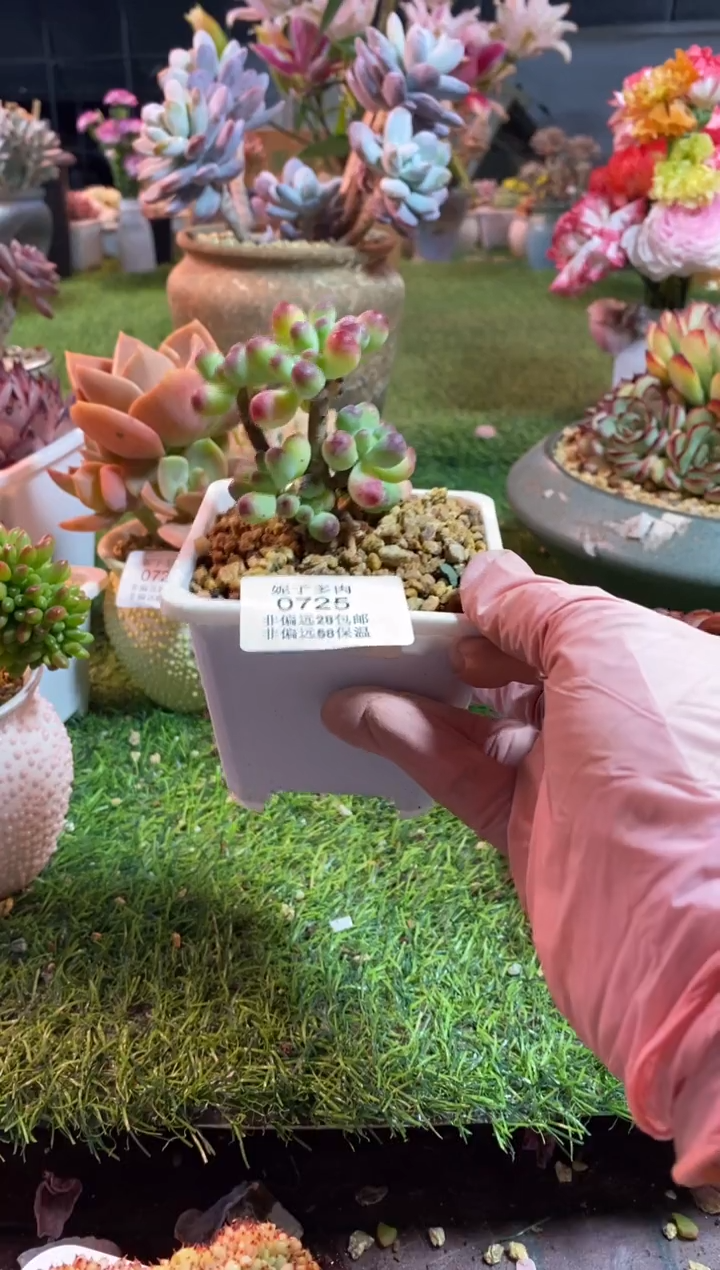 【闪购商品】0725a