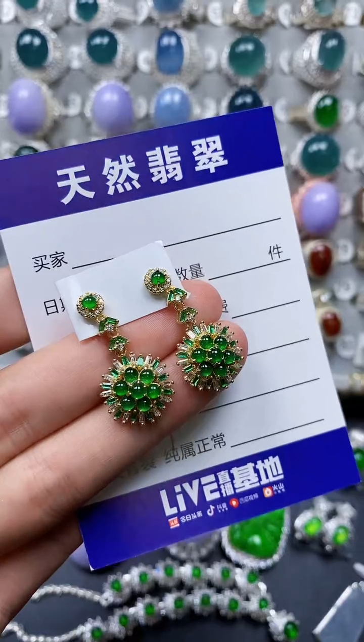 【闪购商品】翡翠耳饰银S925镶嵌0367