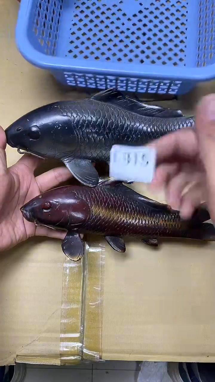 瓷片L315默认微瑕，谨慎参拍 铁鱼一对