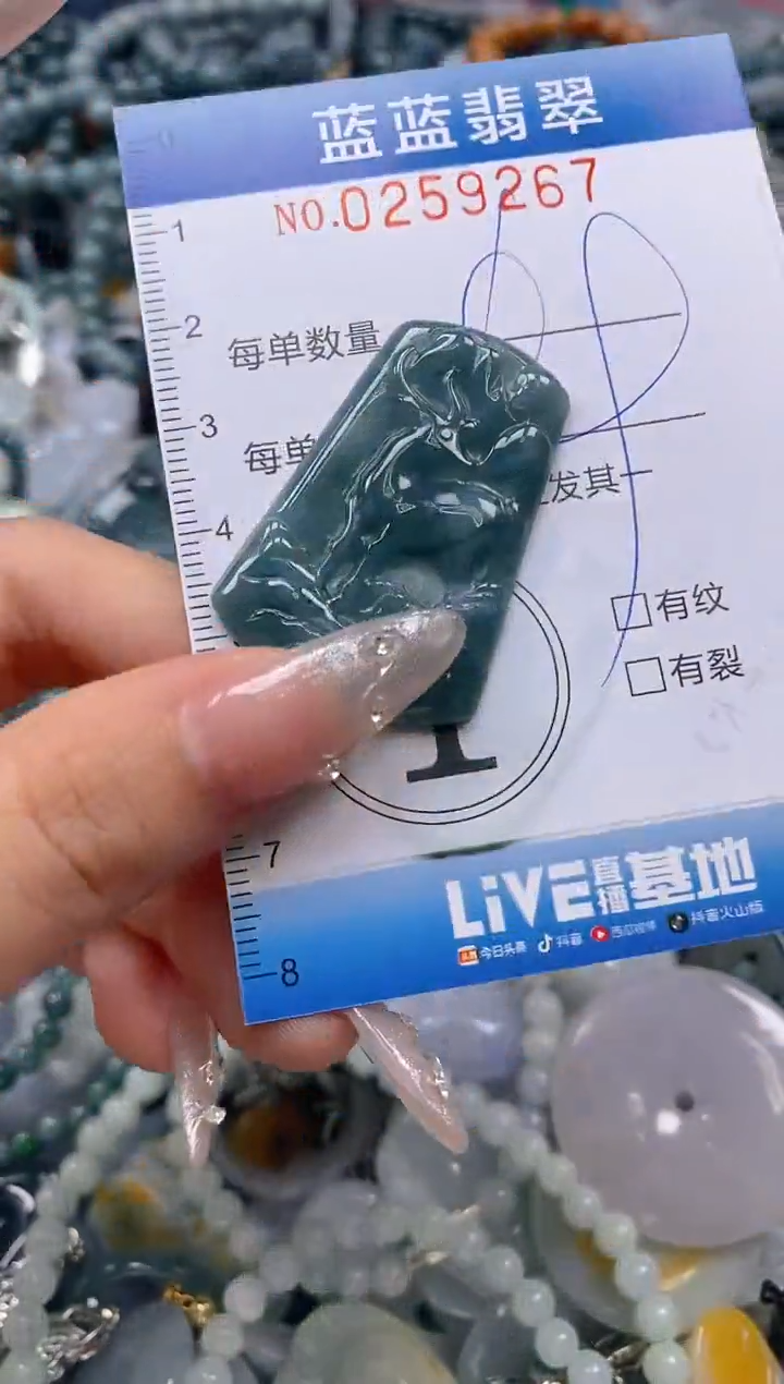 翡翠未镶嵌颈饰闪购0259267