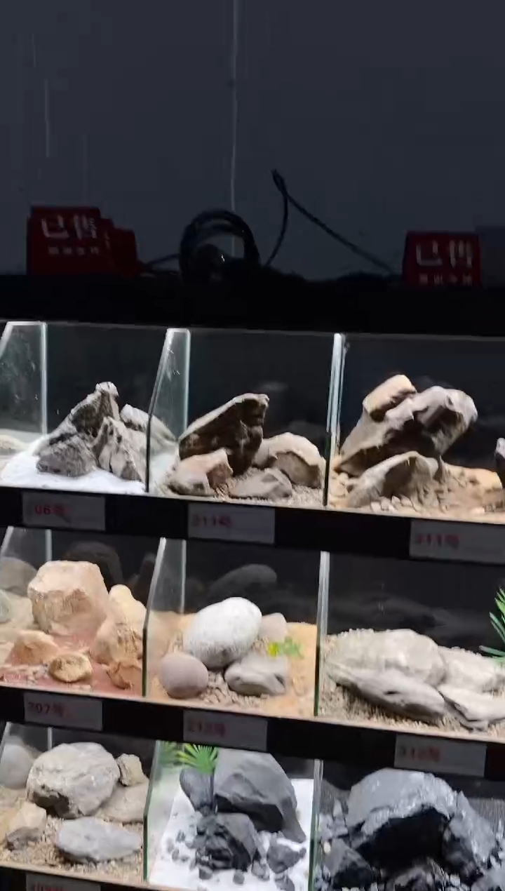 212号鱼缸造景（不含底砂）