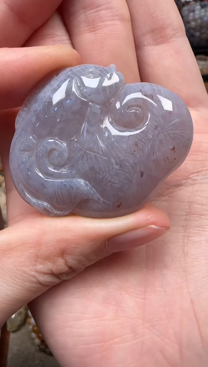 颈饰未镶嵌硅化珊瑚（珊瑚玉）225