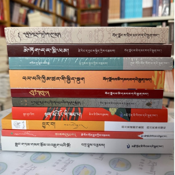 畅销的10本经典藏文小说