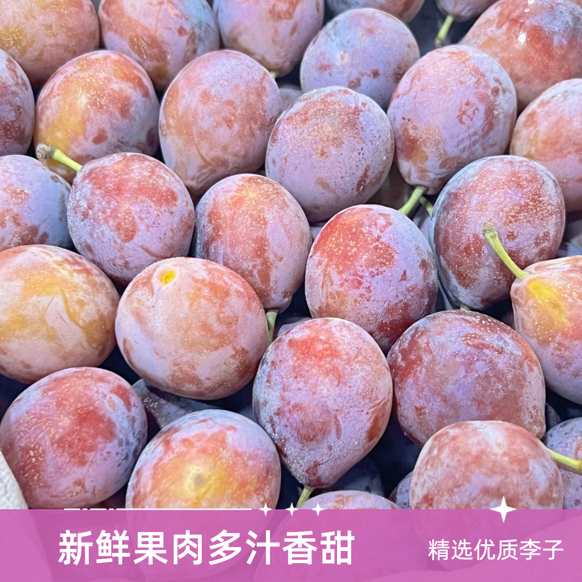 新疆法兰西梅一件