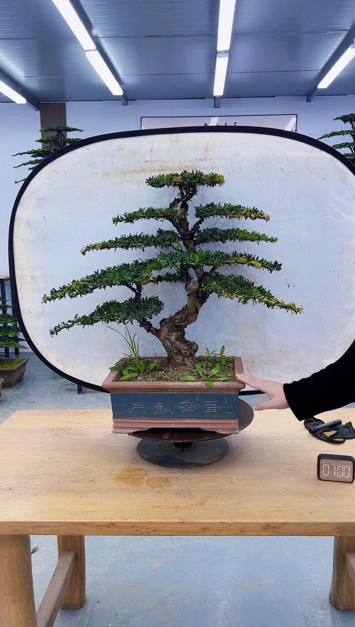 以实际为准00000000