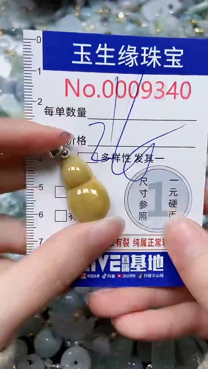 【闪购商品】翡翠颈饰未镶嵌闪购00009340