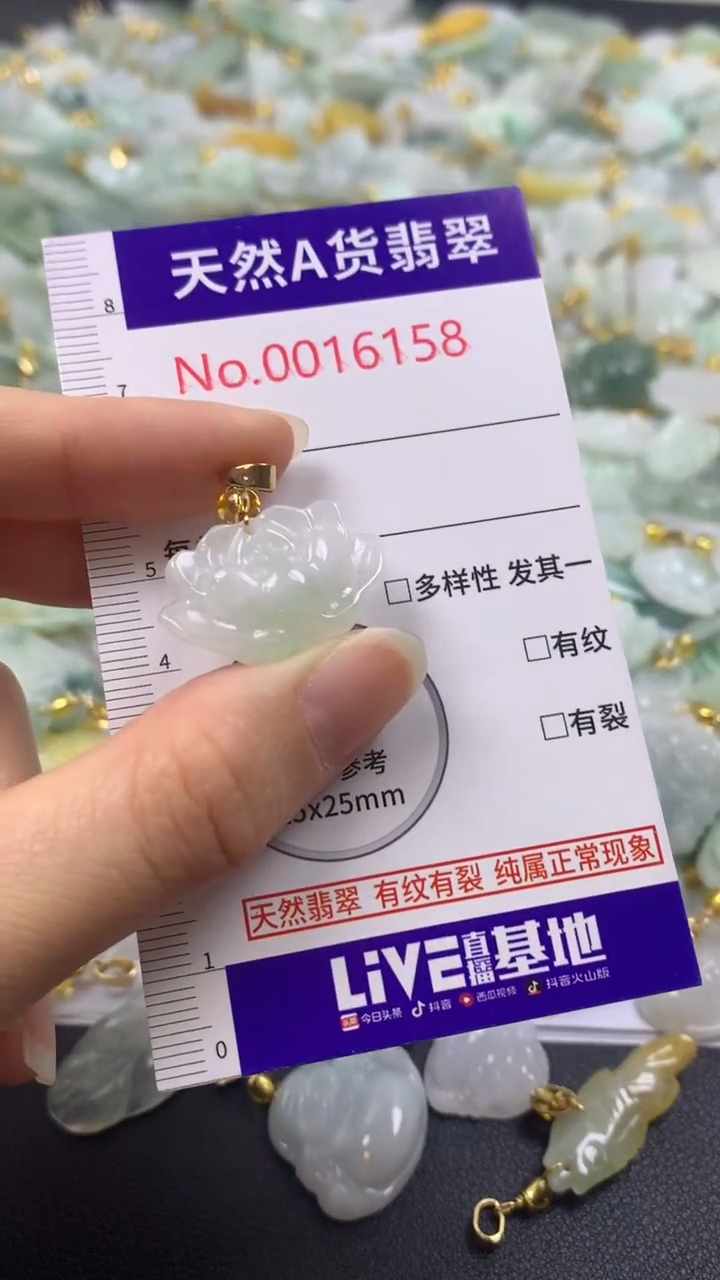 颈饰未镶嵌翡翠1