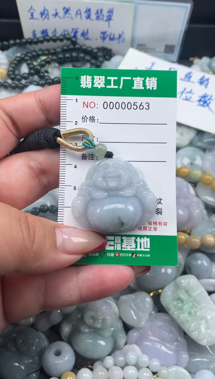 翡翠未镶嵌颈饰天然A货翡翠0563
