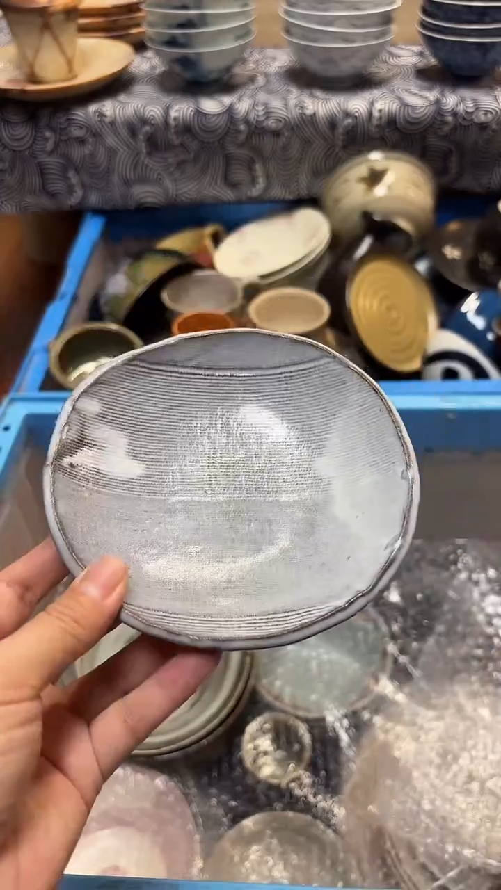 瓷片喵喵家都是大漂亮