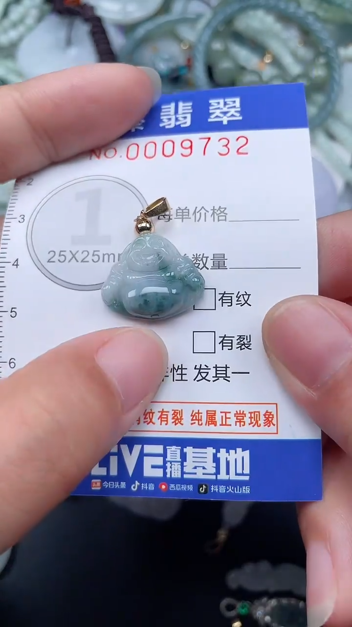 颈饰未镶嵌翡翠.0009732