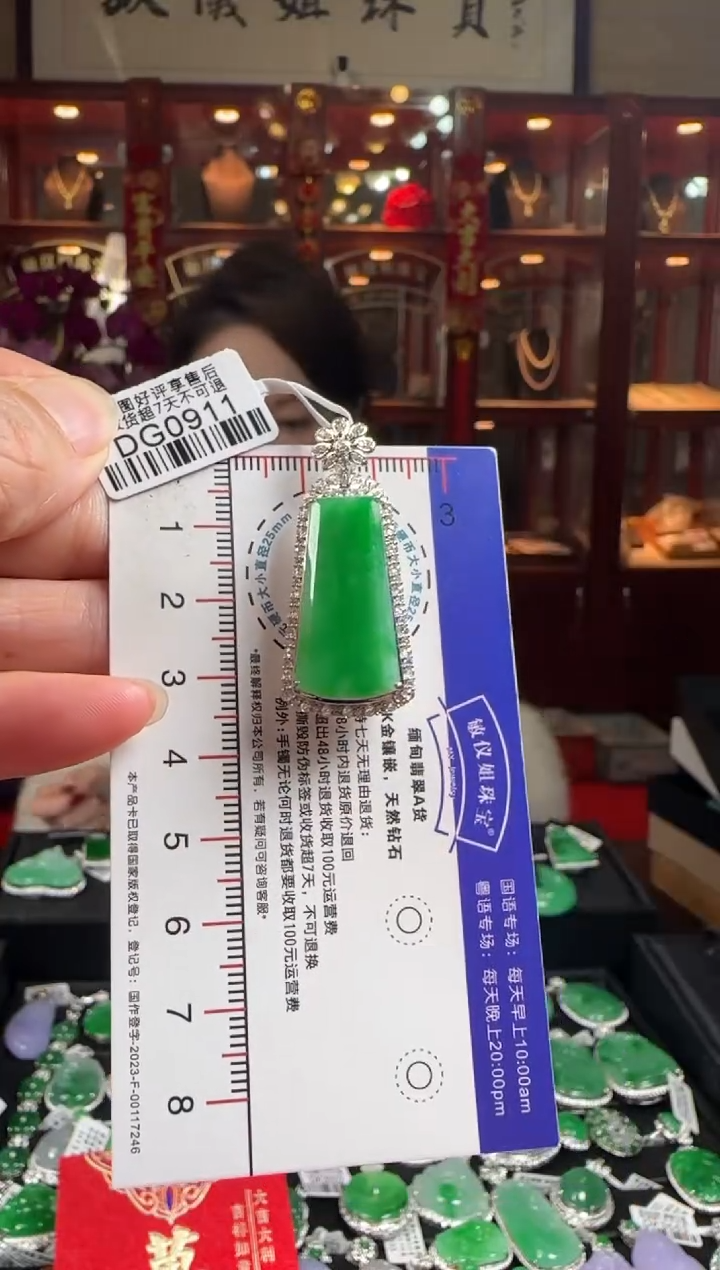 【闪购商品】翡翠颈饰18K金镶嵌DG0911冰绿无事牌