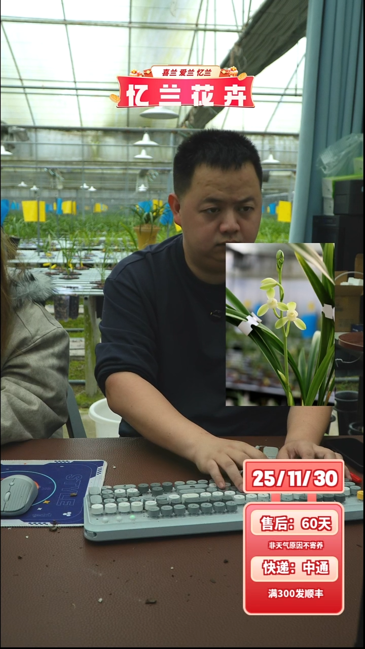 当前无花栽培后可以开花大唐宫粉